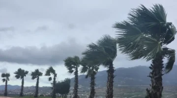 تحذير رسمي.. أمطار تصل إلى 90 ملم تضرب عدة مناطق خلال ساعات